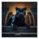 Search for black panthers posters Big cats