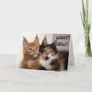 Search for 30th cat birthday cards Friend