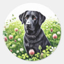 Search for dog owner stickers Labrador