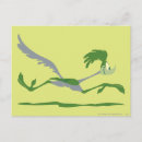 Search for road runner postcards Looney tune character