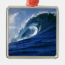 Search for fiji christmas tree decorations Ocean