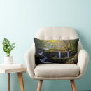 Search for mountain cushions Water