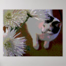 Search for calico art Fine