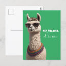 Search for alpacas postcards Funny