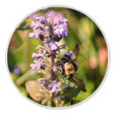 Search for bumble bee knobs and pulls Nature
