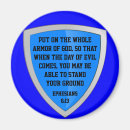 Search for armoured magnets Shield