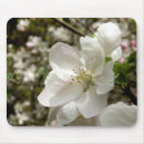 Search for apple blossom mouse mats Nature