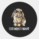 Search for holland lop stickers Kawaii