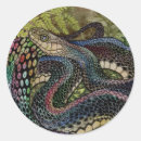 Search for snake scales stickers Wildlife