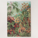 Search for science puzzles Ernst haeckel