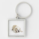 Search for tanning key rings Nature