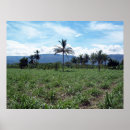 Search for remote art Tropical