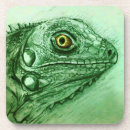 Search for lizard pet coasters Wild