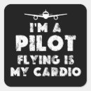 Search for funny plane stickers Pilot