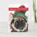 Search for for a vet christmas cards Cute