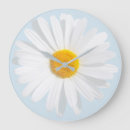 Search for daisy clocks Summer