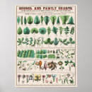 Search for fruit and vegetable posters Vintage