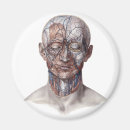 Search for human head magnets Vintage
