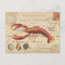 Search for vintage seashell postcards Antique
