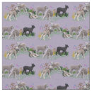 Search for lamb fabric Sheep