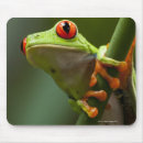 Search for tree frog mouse mats Full length