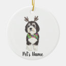 Search for bernedoodle christmas tree decorations Sheepadoodle