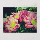 Search for bright green postcards Neon