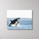 Search for orca canvas prints British columbia