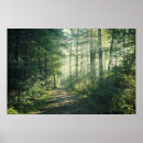 Search for footpath posters Woodland