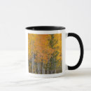Search for provo mugs Autumn