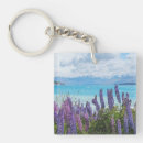 Search for shore key rings Nature