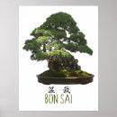 Search for bonsai posters Japan