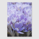 Search for wrap cards Floral