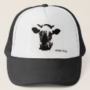 Search for inside hats Animal