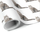 Search for tabby wrapping paper Kitty
