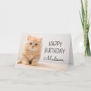 Search for longhair cards Kitten