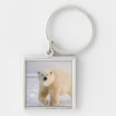 Search for steve key rings Wildlife