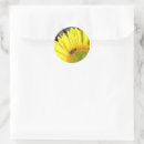 Search for bee image round stickers Blossom