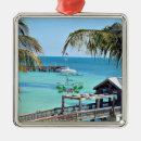 Search for florida key west christmas tree decorations Palm trees