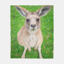 Search for kangaroo blankets Photography