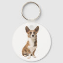 Search for cardigan key rings Cardigan welsh corgi