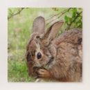 Search for bunny rabbit puzzles Brown
