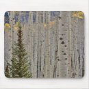 Search for danita delimont mouse mats Forest