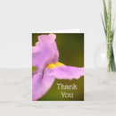 Search for wild orchid postcards Photography