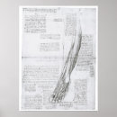 Search for leggings posters Muscles