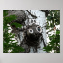 Search for value photography Trees