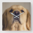 Search for dog nose art Animal