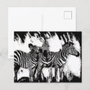 Search for zebra postcards Stripes
