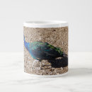 Search for peafowl mugs Nature