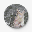 Search for trout paper plates Angler